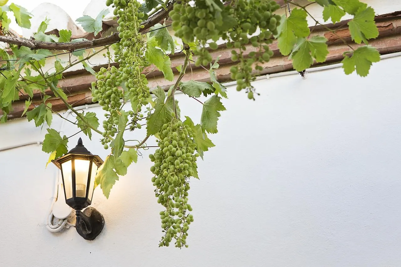 Hotel Cortijo Del Arte - Caminito Del Rey Pizarra
